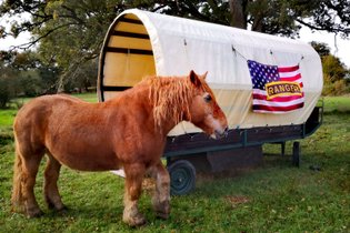 Chariot de pionnier Haute-Vienne