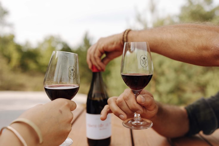 Hébergement AbracadaRoom : Parcel Tiny House - dans les vignes de la Vallée du Lot - Image 15