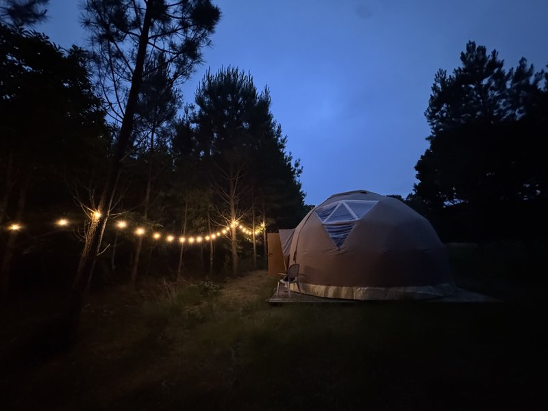 Hébergement AbracadaRoom : Dôme d'Amagui au cœur de la forêt Landaise - Image 15