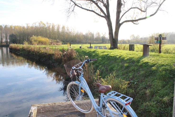 Hébergement AbracadaRoom : DOLFYN - Image 21