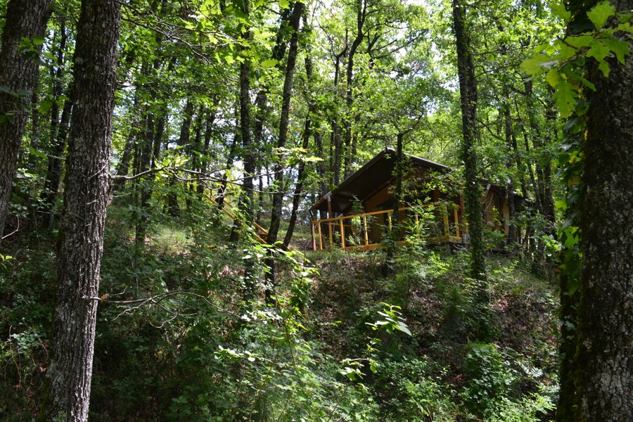 Hébergement AbracadaRoom : Bamburi, dans les bois - Image 4