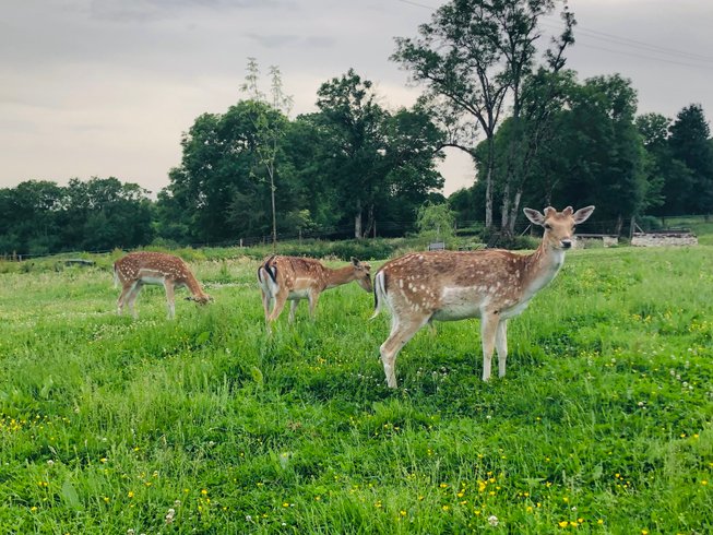 Hébergement AbracadaRoom : Tente sur pilotis des Souciers - Image 13