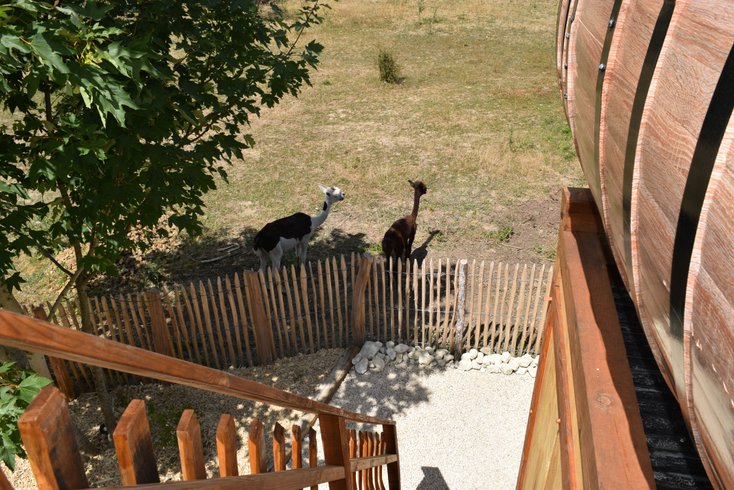 Hébergement AbracadaRoom : Coup de foudre en Anjou & Spa - Image 32