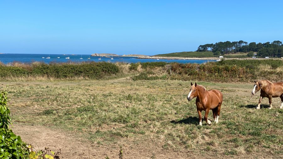Hébergement AbracadaRoom : Tiny de Ker Ael - Image 21