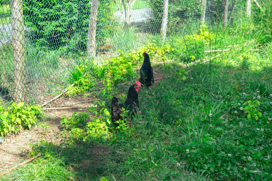 Domaine AbracadaRoom : Camping Écovillage Vacances Soleil du Pibeste - Image 42