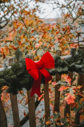 Hébergement AbracadaRoom : Cabane Spa des Hauts Bois - Image 4