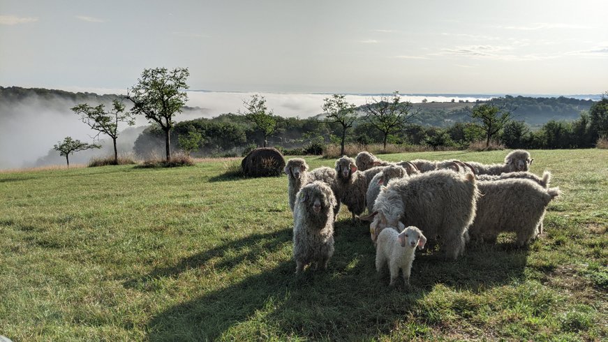 Hébergement AbracadaRoom : Espace VALERIANA - Image 14