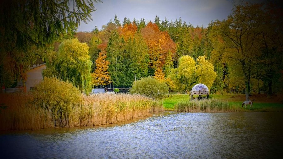 Domaine AbracadaRoom : Foxy Camp - Image 2