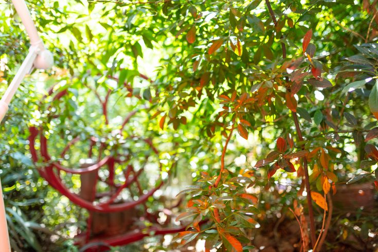 Domaine AbracadaRoom : Le Portel des Arnaud - Image 7