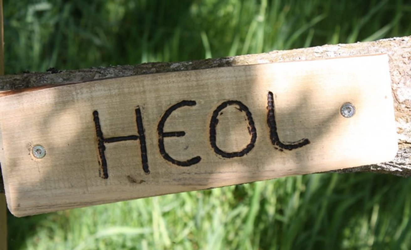 La Cabane perchée Heol à Ploemel (4)