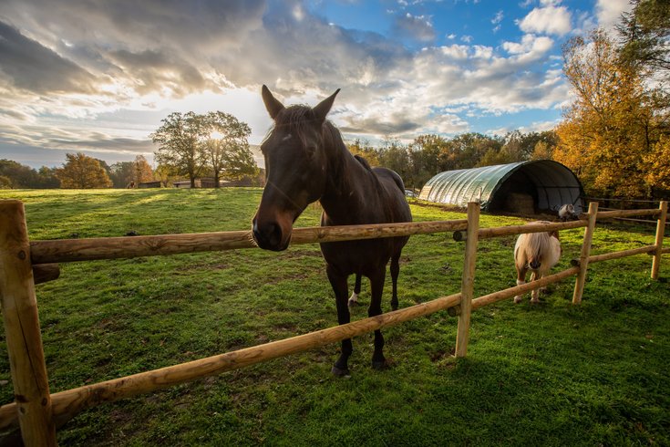 Domaine AbracadaRoom : Homnest (Puybegon) - Image 6