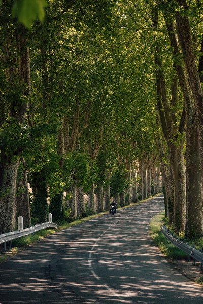 Domaine AbracadaRoom : Le Sanctuaire des sorciers - Image 4