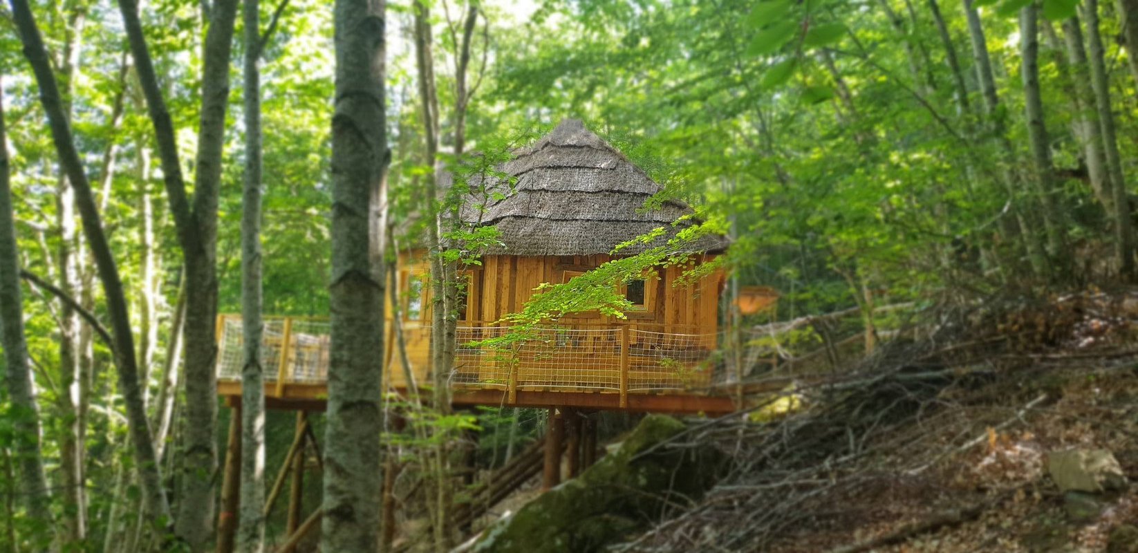 Cabane Spa Les Elfes à Saint Léger Les Mélèzes (1)