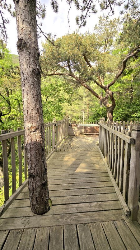 Bois d'Arambe & Spa à Serres (4)