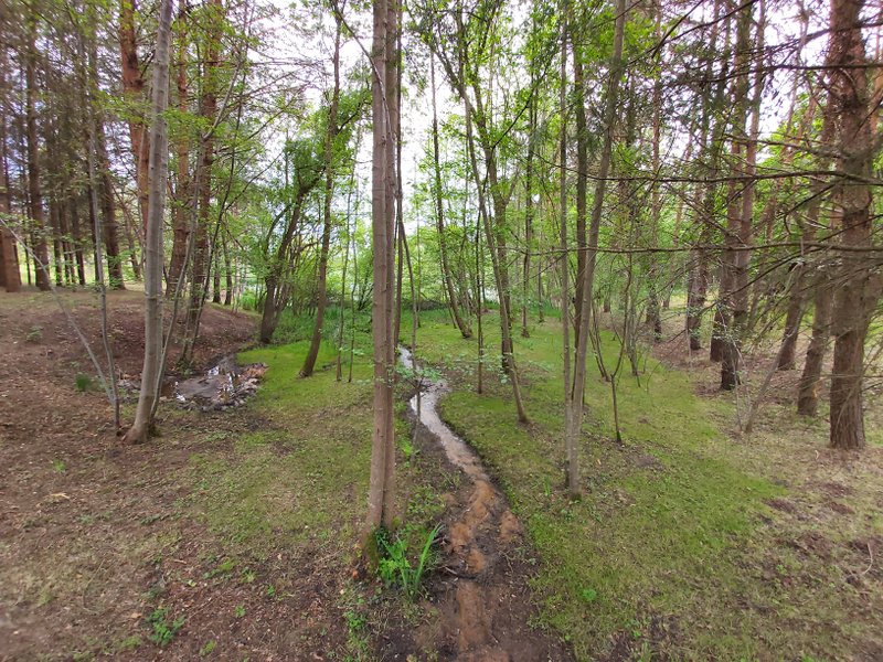 Domaine AbracadaRoom : Les Roulottes des Ris - Image 6