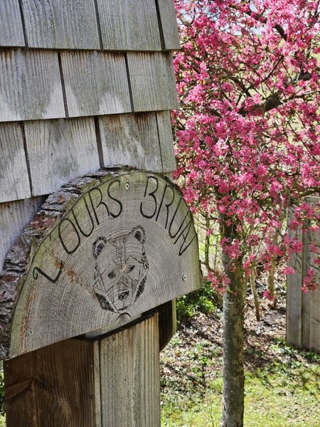 Hébergement AbracadaRoom : L'Ours Brun - Image 11