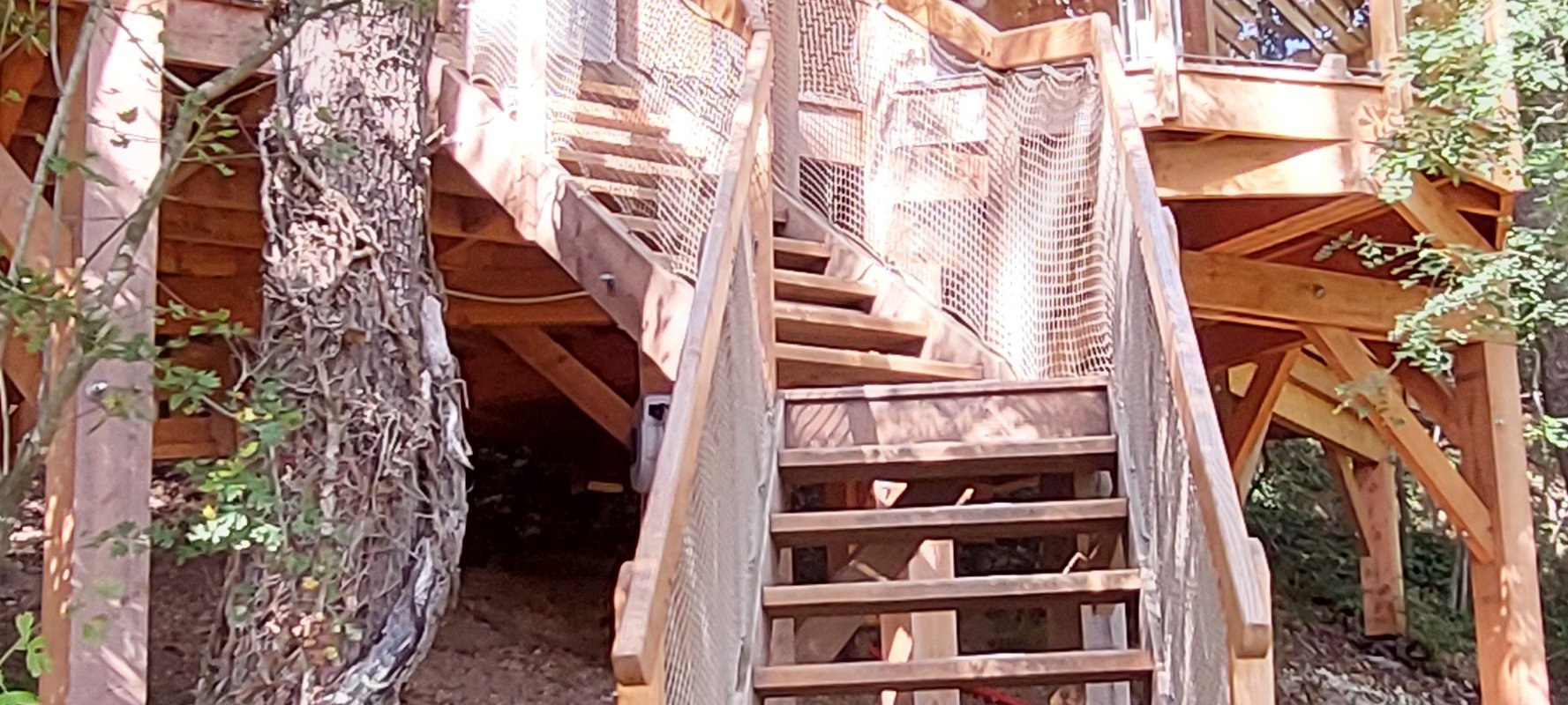 Cabane perchée ASTERIA & Spa à Sarrant (4)