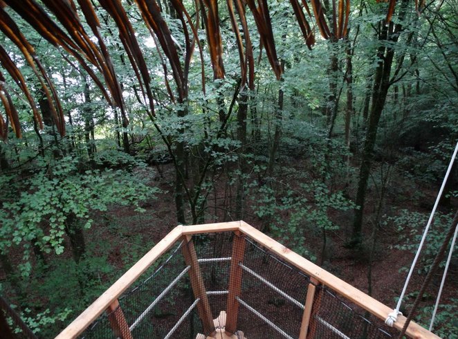 Hébergement AbracadaRoom : Clairière - Image 15