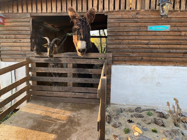 Domaine AbracadaRoom : LutinBourg - Image 2