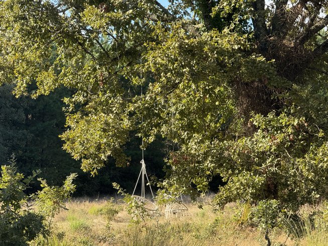 Domaine AbracadaRoom : Dôme en forêt Landaise - Image 5