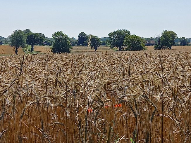 Domaine AbracadaRoom : Glamping La Fraventure - Image 32