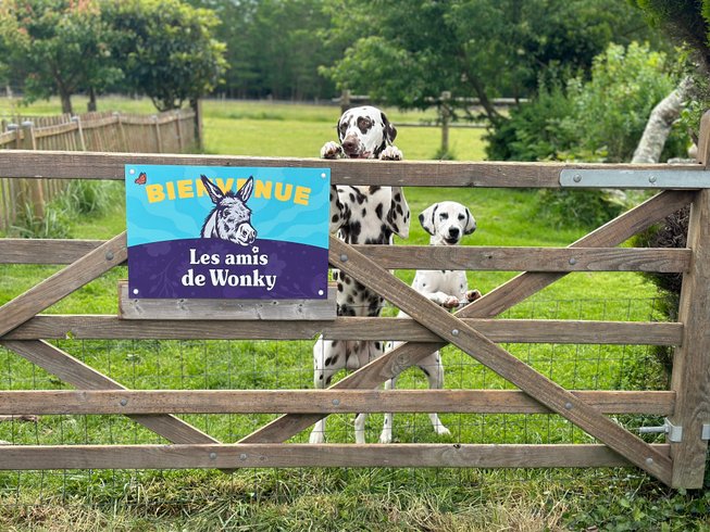 Domaine AbracadaRoom : Les roulottes des amis de Wonky - Image 1