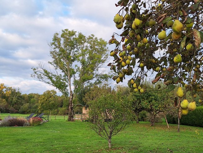 Hébergement AbracadaRoom : Roulotte & Respire - Image 18
