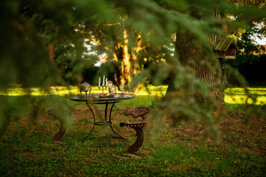 Domaine AbracadaRoom : Domaine ForRest - Image 4