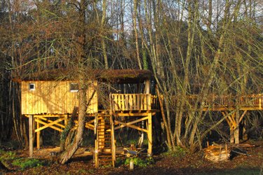 Cabane des cerfs