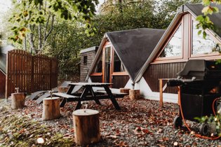 In the Woods - Chalet Tropical