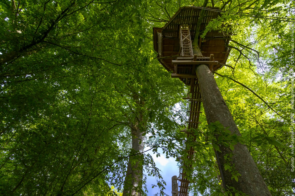 La cabane Haut-Perchée & Spa à Wail (8)