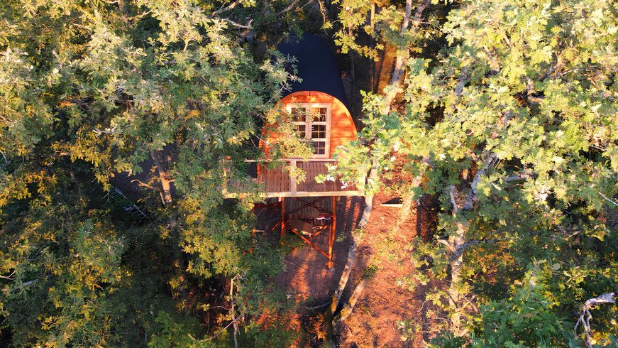 Hébergement AbracadaRoom : La cabane entre les cimes - Image 11