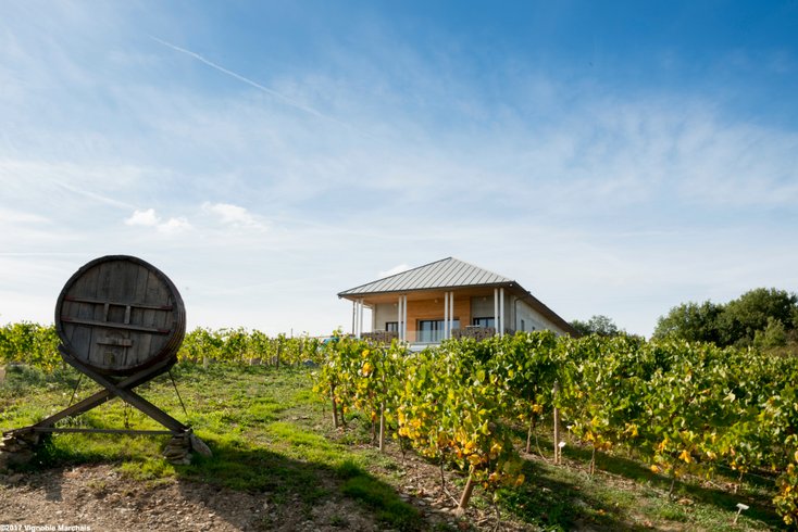 Domaine AbracadaRoom : Vignoble Marchais - Image 1