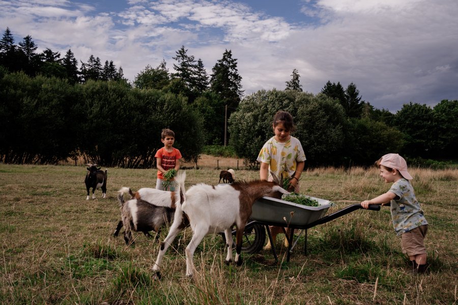 Domaine AbracadaRoom : Un Lit au Pré - Ô Manoir de Glam's - Image 9
