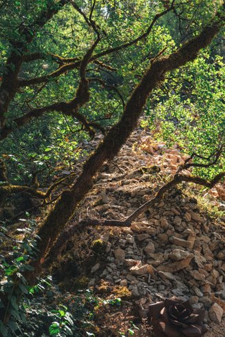Hébergement AbracadaRoom : L'Idylle du Causse & Spa - Image 21