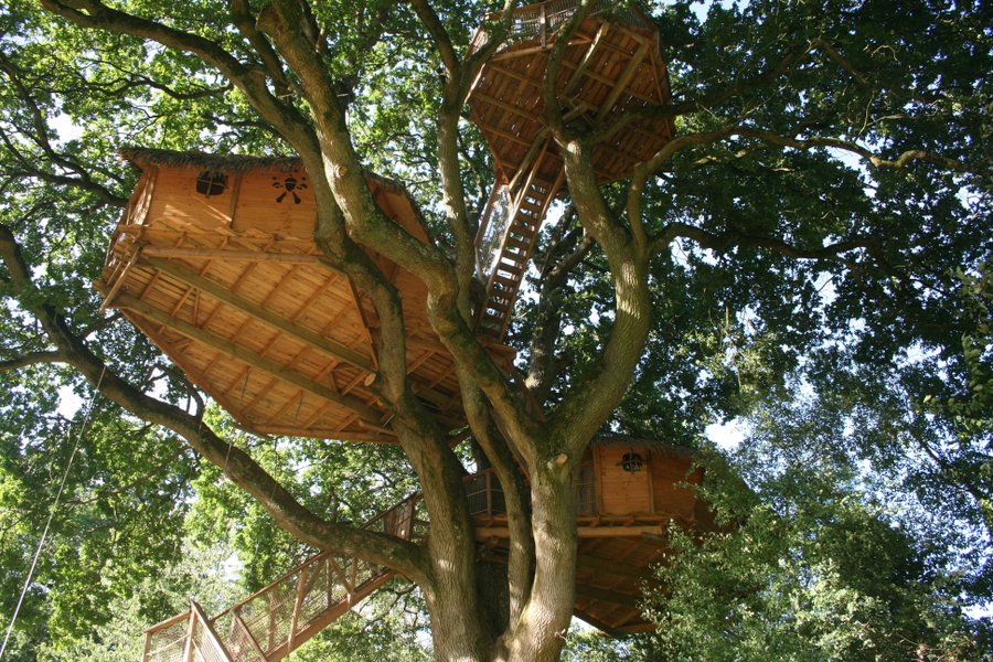 Hébergement AbracadaRoom : Chêne Fou - Image 6