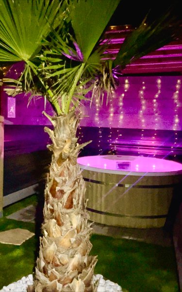 Domaine AbracadaRoom : A l'Ombre des Pods​ - Image 4