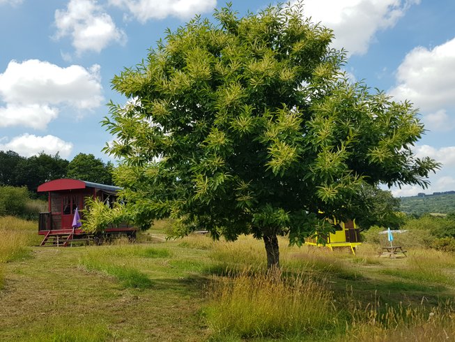 Domaine AbracadaRoom : Les Roulottes des Korrigans - Image 10