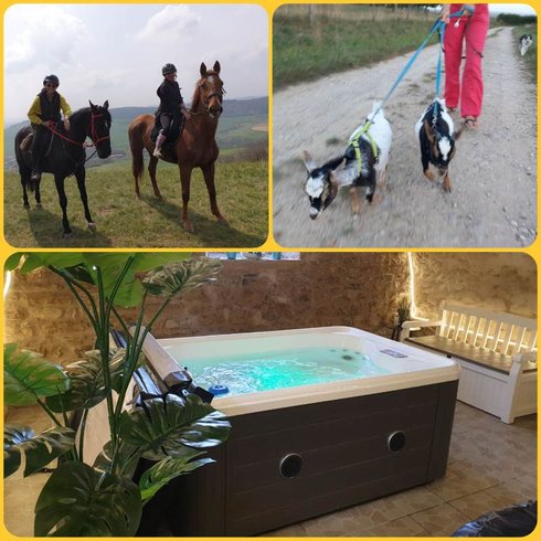 Hébergement AbracadaRoom : Lodge 2 - 4 pers. terrasse avec  des chevaux à votre chevet - Image 10