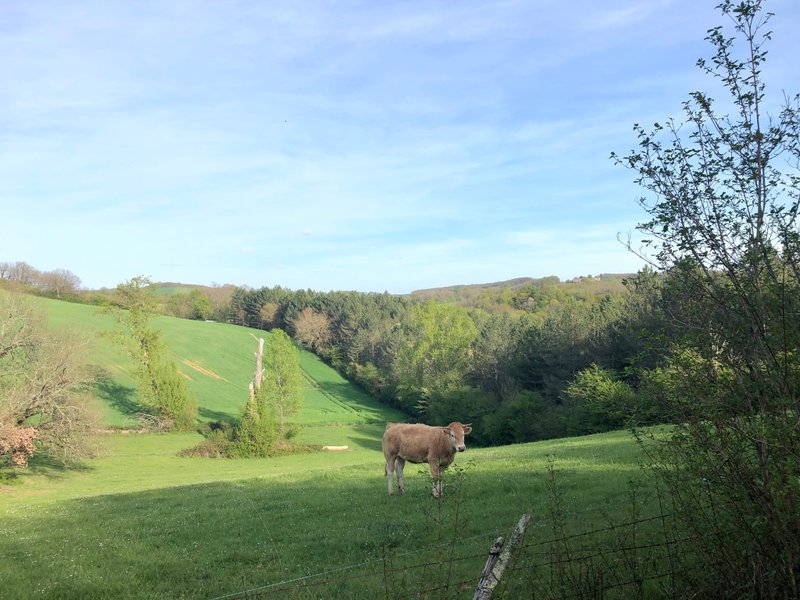 Hébergement AbracadaRoom : Le Cri de la Yourte - Image 14