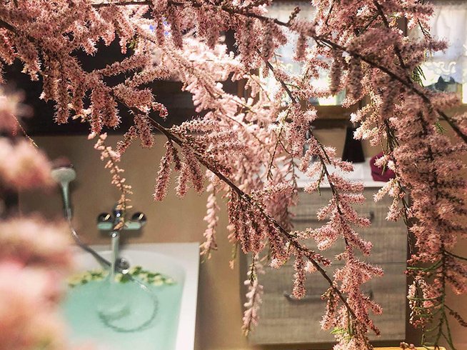 Hébergement AbracadaRoom : Le Petit Nid d'Amour - Image 15