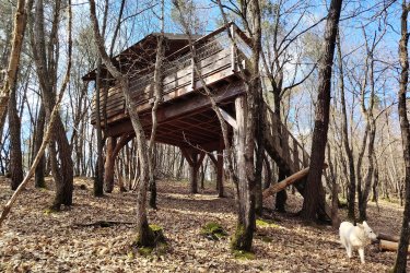 Cabane Murmure de Feuilles – Une parenthèse suspendue au cœur de la nature à Saint-Donat-Sur-L'herbasse (1)