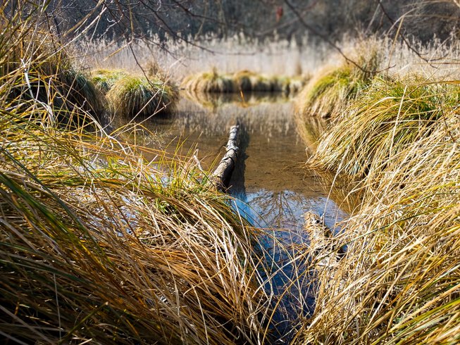 Hébergement AbracadaRoom : Gîte dans les bois, au coeur du Périgord noir avec étang privé - Image 19