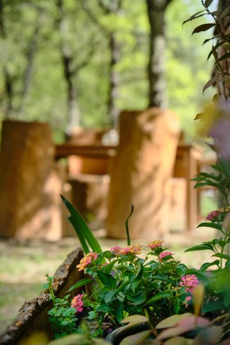 Domaine AbracadaRoom : Le Mas du Bois Barbeau - Image 25