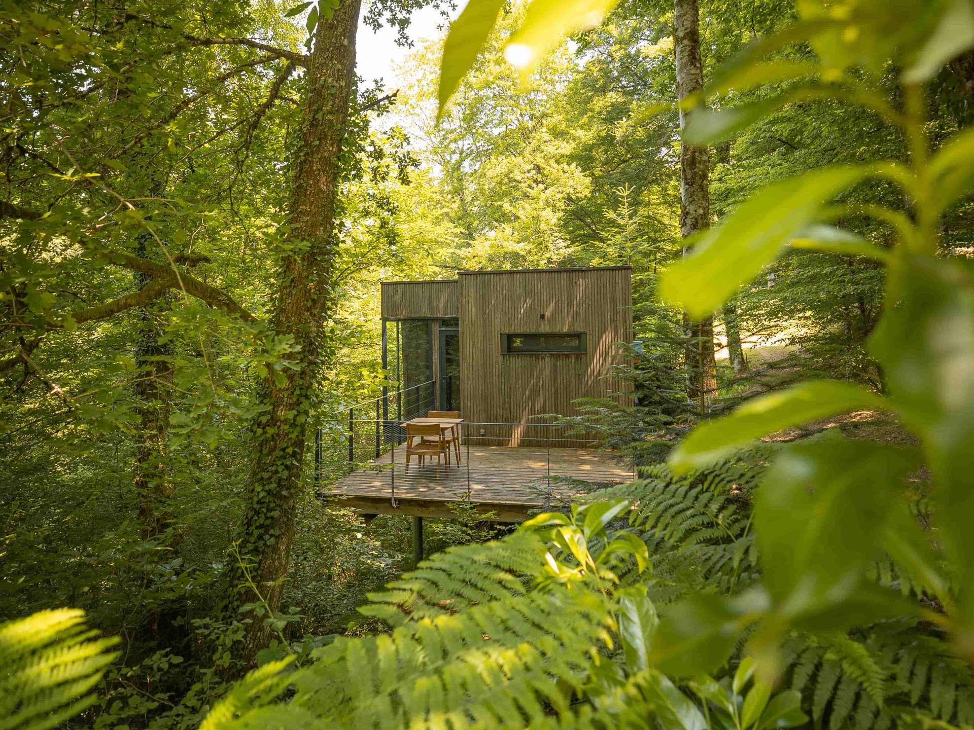 Cabane Epicéa