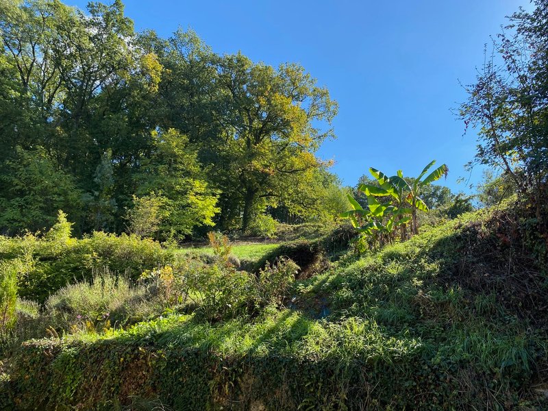 Domaine AbracadaRoom : Domaine la Rochardière - Image 2