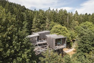 Cabane perchée Forêt et Spa Duo