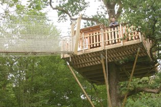 Cabane dans les arbres Ardennes