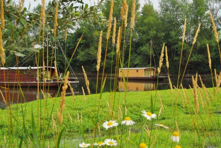 Hébergement AbracadaRoom : La Toue au Mouillage en famille - Image 12