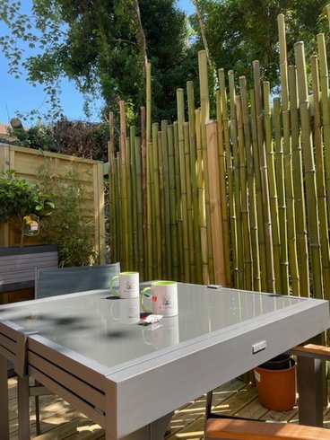 Domaine AbracadaRoom : Rêve de Panda - Image 6